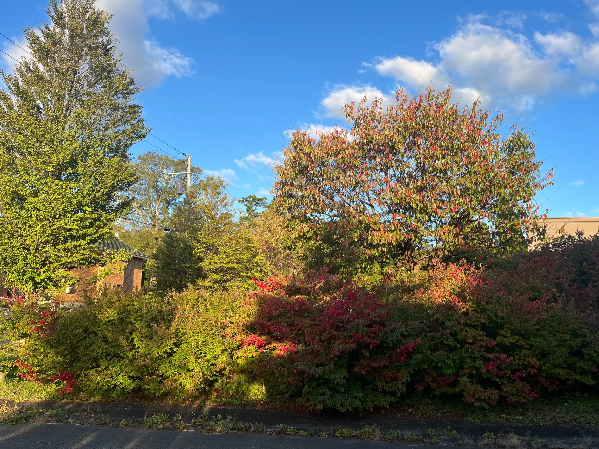 八白土星・九紫火星 【今日から1か月の運勢】