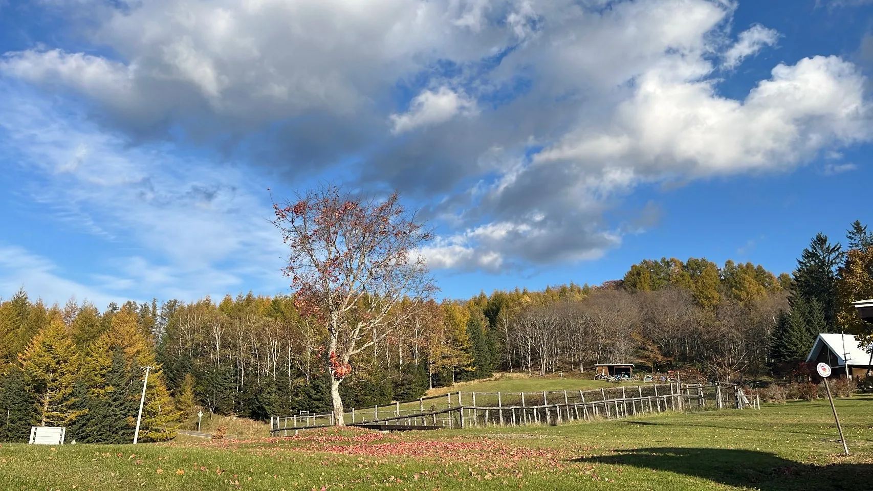 下半期　干支占い【丑・寅・丑運勢】